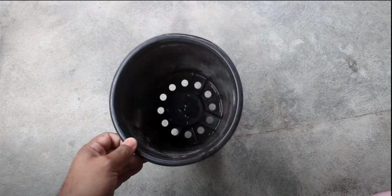 How to Save a Dying Calathea Plant? A Step By Step Guide 5 Well drainage pot